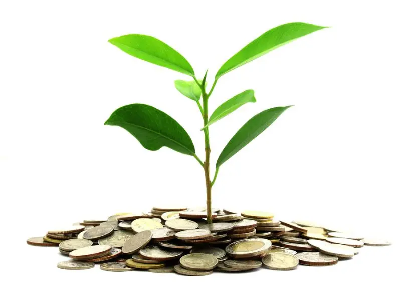 Инвестиции SKF в сохранение экологии | Свежие новости в Иркутске